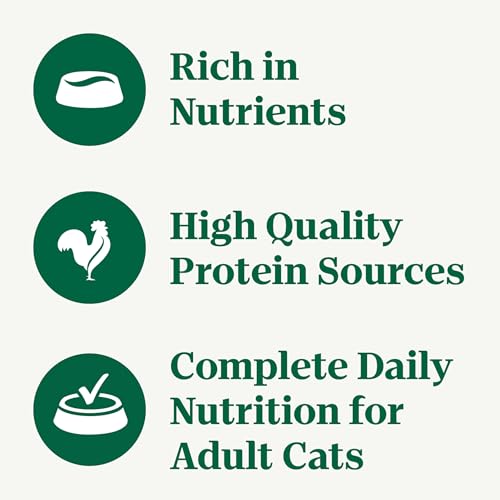 Nutro Wet Cat Food Paté Multipack: Salmon & Tuna; Chicken & Shrimp - Image 5