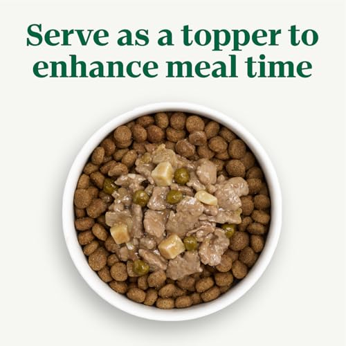 Nutro Natural Choice Cuts in Gravy Wet Dog Food Variety Pack - Image 5