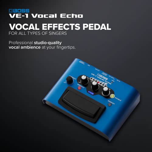 Boss VE-1 Vocal Echo - Portable Vocal Processor - Image 2
