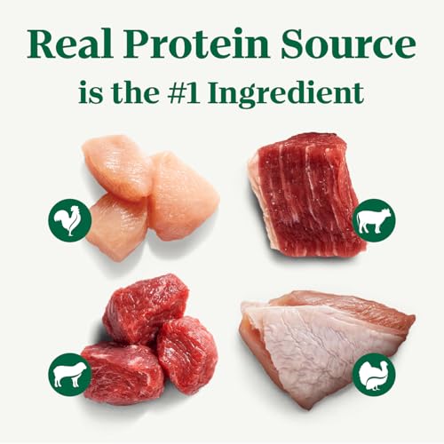 Nutro Natural Choice Cuts in Gravy Wet Dog Food Variety Pack - Image 4