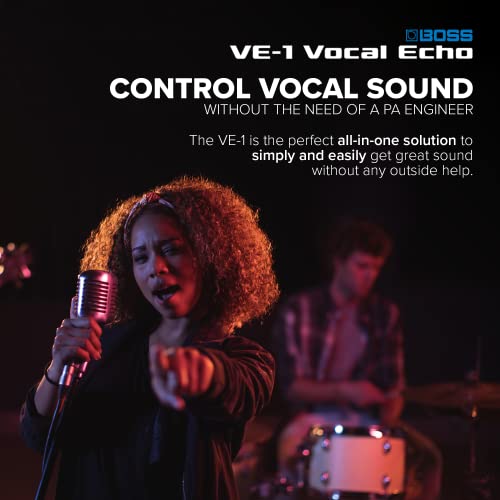 Boss VE-1 Vocal Echo - Portable Vocal Processor - Image 3
