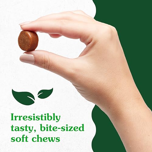 Greenies Hip & Joint Dog Supplements, Chicken Flavor - 80 Soft Chews - Image 8