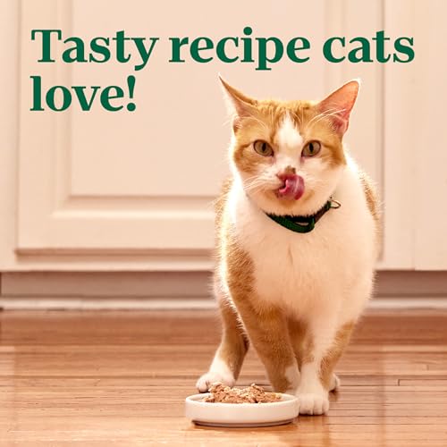 Nutro Wet Cat Food Paté Multipack: Salmon & Tuna; Chicken & Shrimp - Image 10