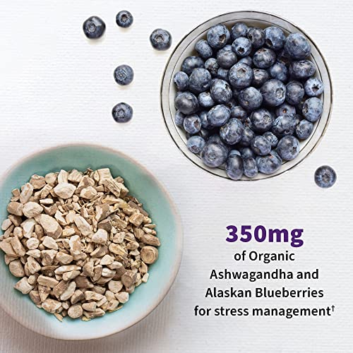 Garden of Life Mood+ Probiotic Supplement with Ashwagandha - Image 4