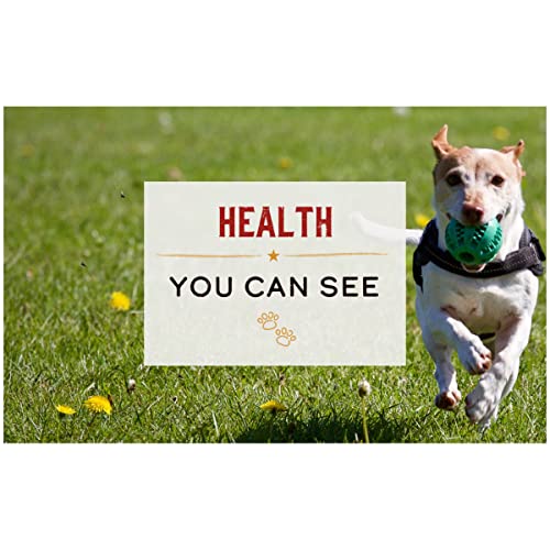 Merrick Limited Ingredient Diet Canned Dog Food - Chicken & Brown Rice - Image 8