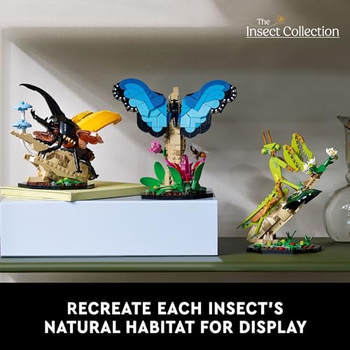 LEGO Ideas The Insect Collection - Collectible Model Building Kit for Adults - Image 6