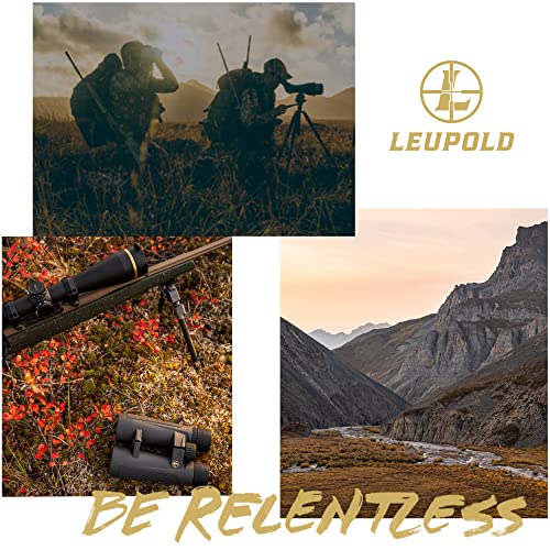 Leupold BX-2 Alpine HD Binoculars, 10x42mm - Image 6