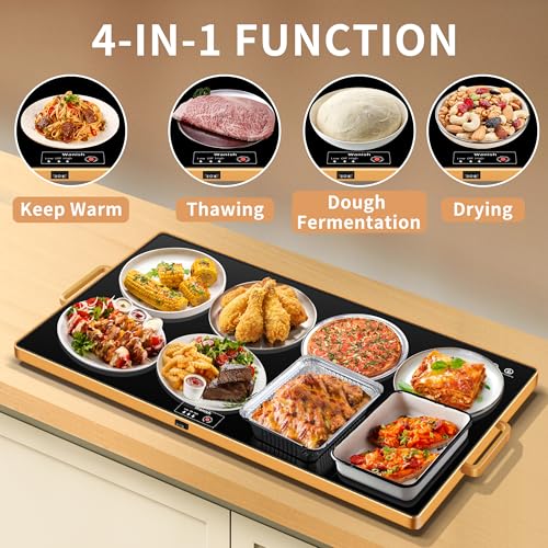 Wanish Electric XXL Warming Tray with Thermostat - Image 4
