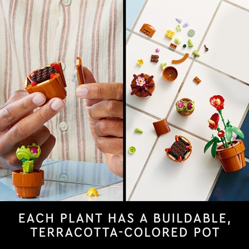LEGO Botanicals Tiny Plants - Indoor Plant Building Set - Image 5