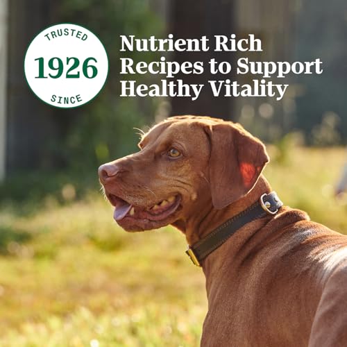 Nutro Hearty Stew Cuts in Gravy Adult Wet Dog Food Turkey Recipe - Image 11