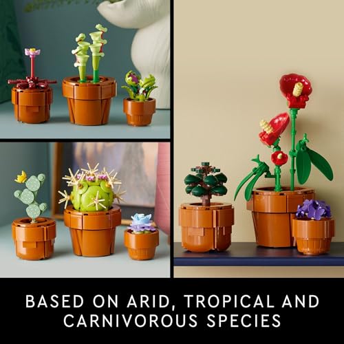 LEGO Botanicals Tiny Plants - Indoor Plant Building Set - Image 4
