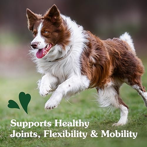 Greenies Hip & Joint Dog Supplements, Chicken Flavor - 80 Soft Chews - Image 7