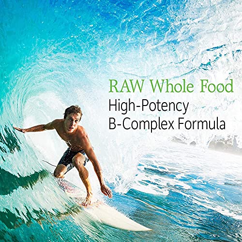 Garden of Life Vitamin B Complex with Probiotics – 120 Vegan Capsules - Image 3