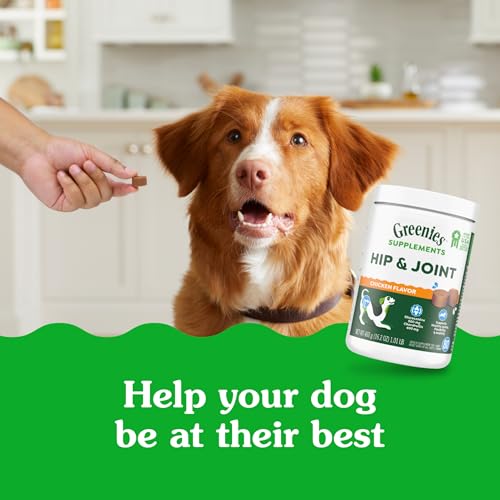 Greenies Hip & Joint Dog Supplements, Chicken Flavor - 80 Soft Chews - Image 3